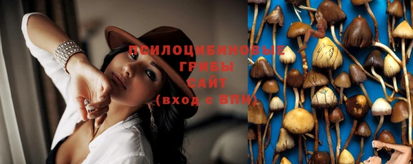кристаллы Дмитриев