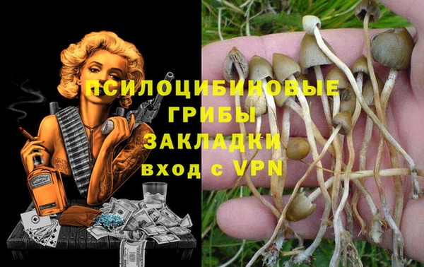 метамфетамин Гусь-Хрустальный